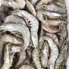 Фрозен Схримп